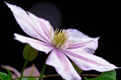 散歩の途中で、④