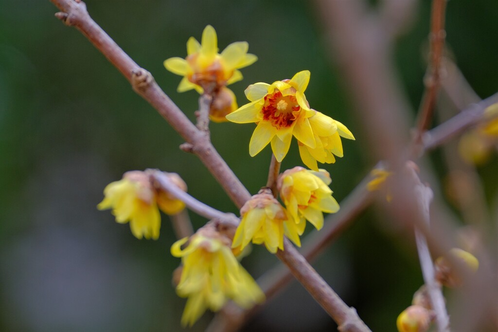 散歩の途中で。１