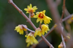 散歩の途中で。１