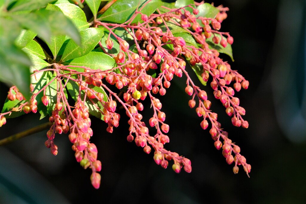 散歩の途中で。①