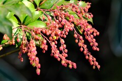 散歩の途中で。①