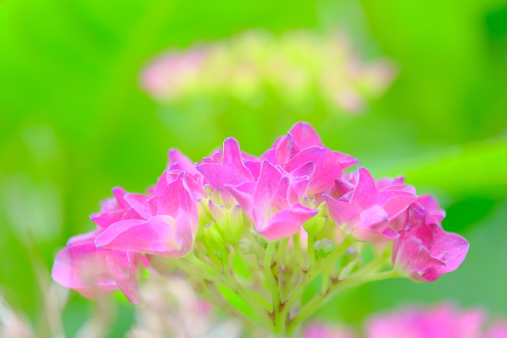 散歩の途中で。