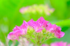 散歩の途中で。