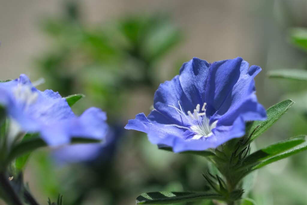 散歩の途中で。Ⅴ