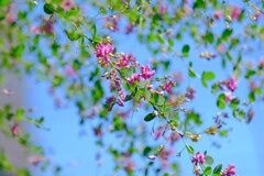 散歩の途中で。③