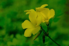 散歩の途中で。2