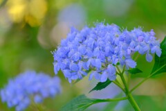 散歩の途中で。