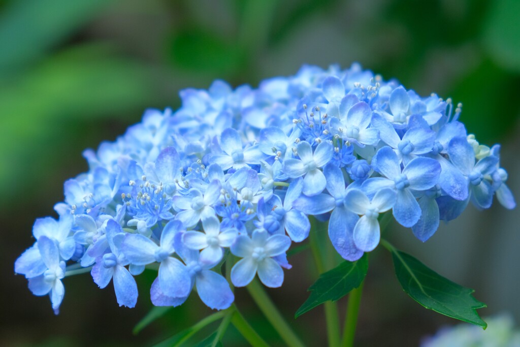 散歩の途中で。