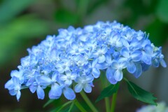 散歩の途中で。