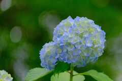 散歩の途中で。