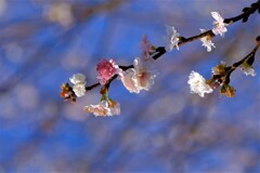 散歩の途中で。Ⅰ