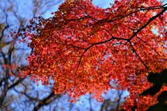 散歩の途中で、②