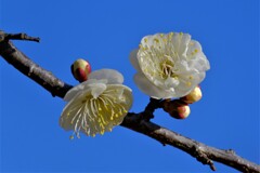 散歩の途中で。３