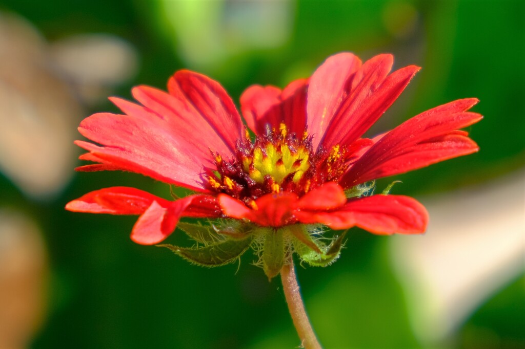 散歩の途中で。Ⅷ