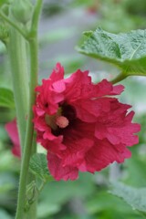 散歩の途中で。④