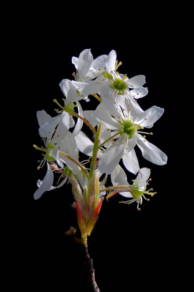 散歩の途中で。Ⅷ