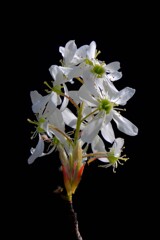 散歩の途中で。Ⅷ