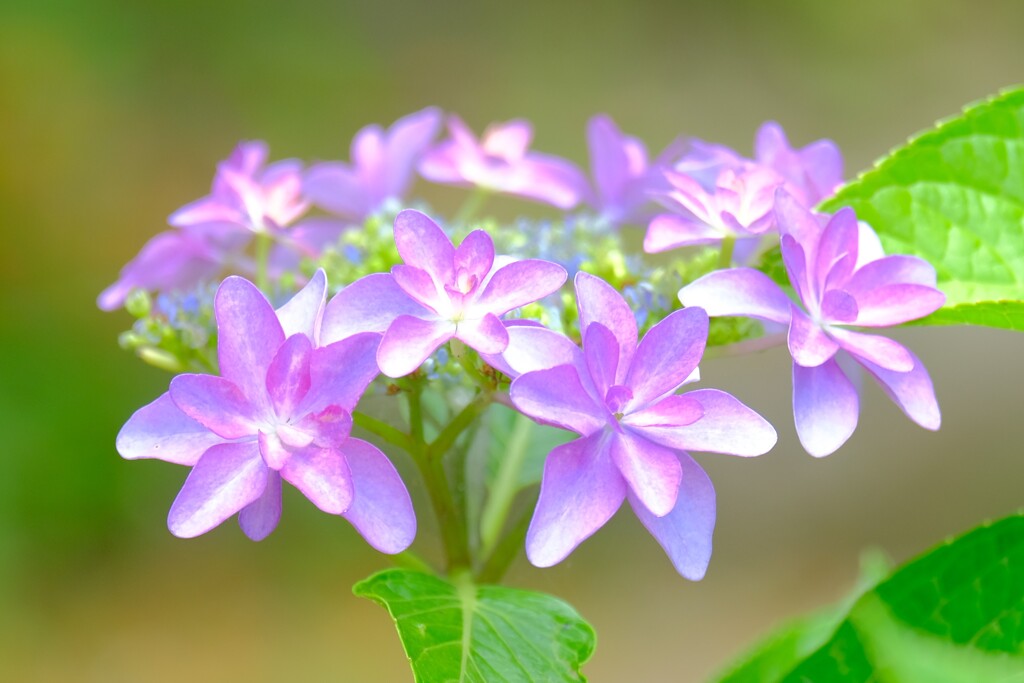散歩の途中でⅧ
