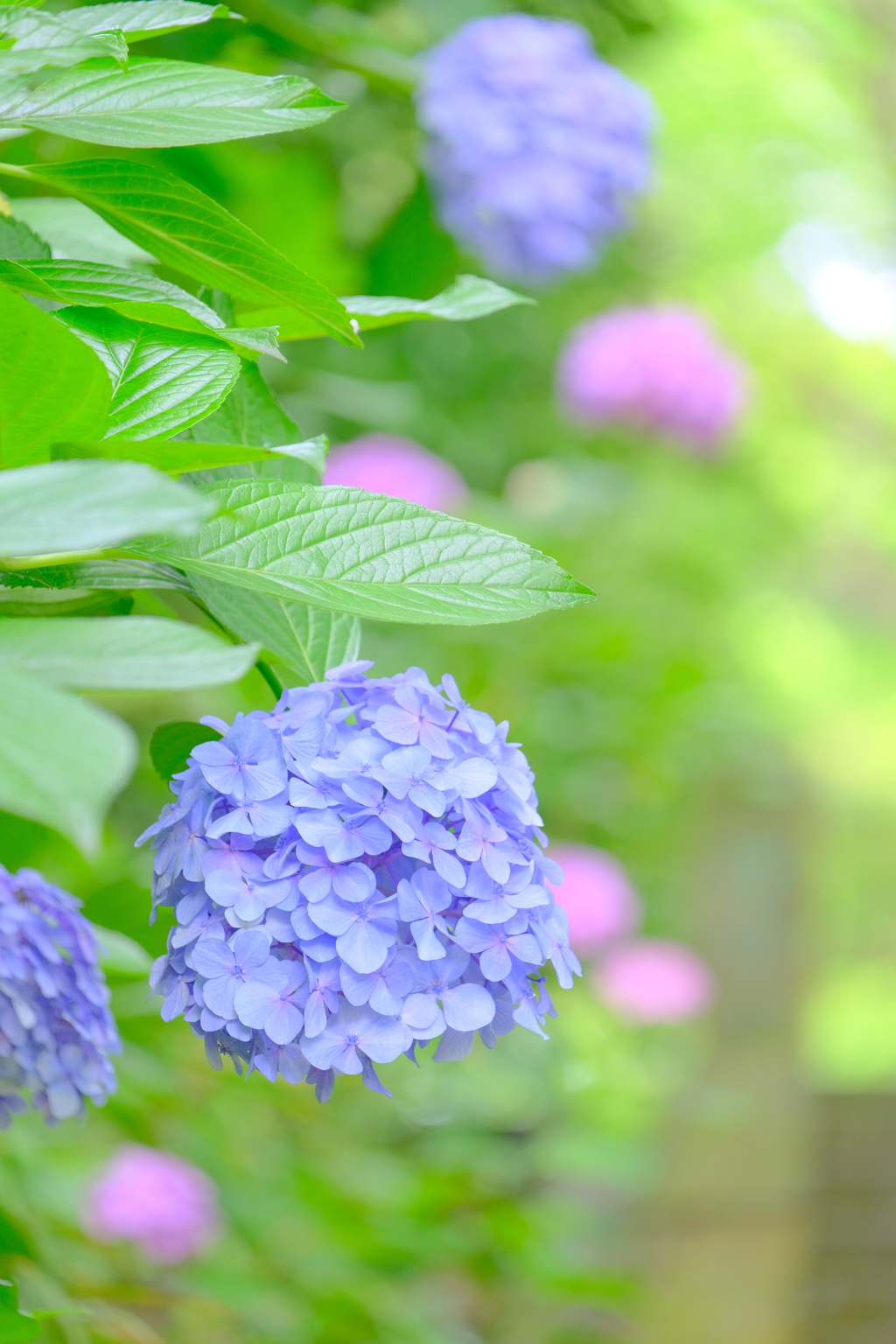 散歩の途中で。