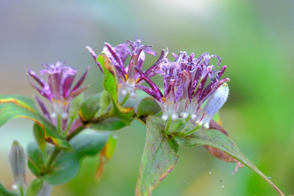 散歩の途中で。２