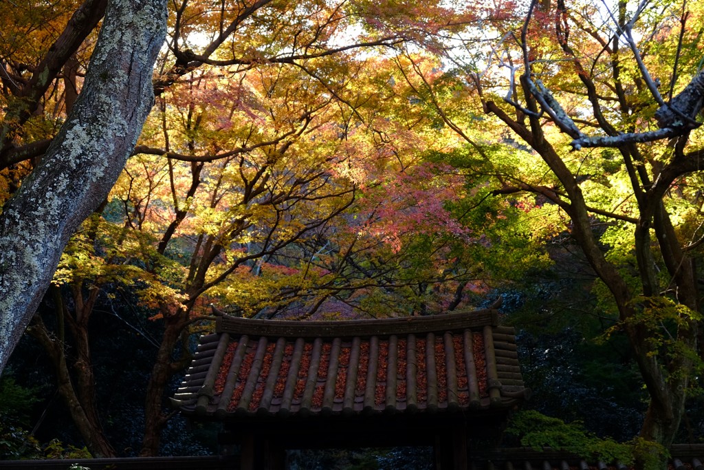 瑞泉寺（鎌倉）