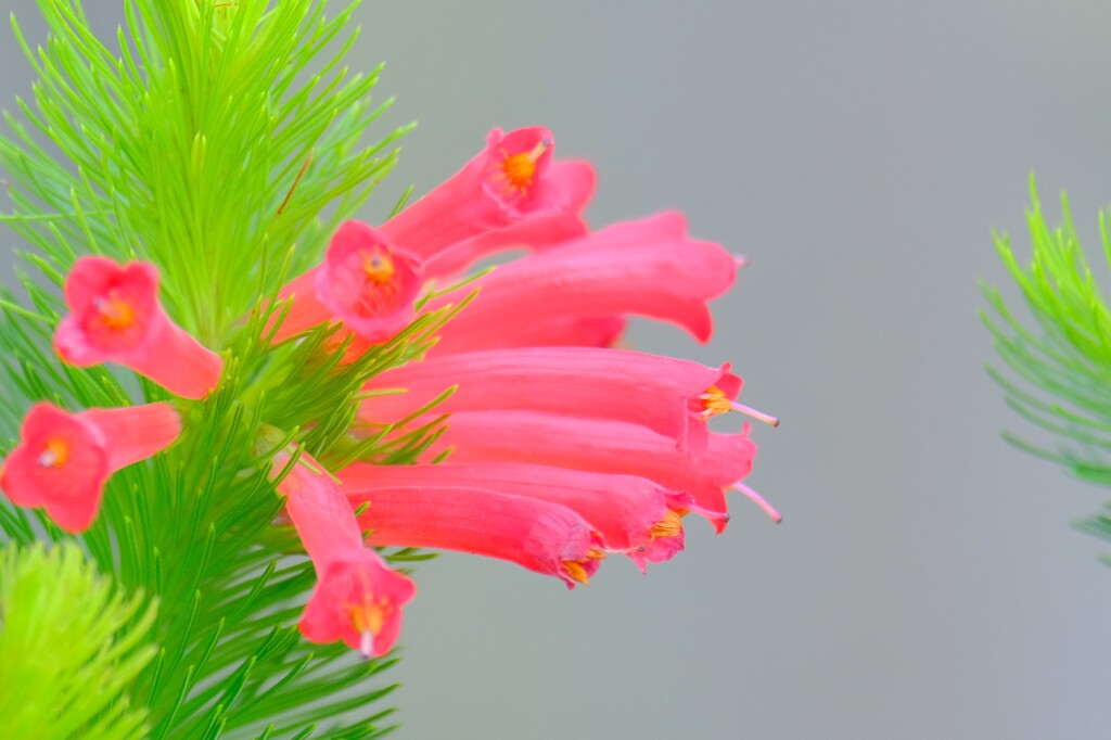 散歩の途中で。