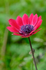 散歩の途中で。Ⅵ