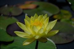 散歩の途中で。⑩