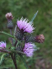 散歩の途中で。５