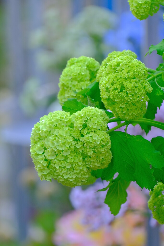 散歩の途中で。Ⅰ