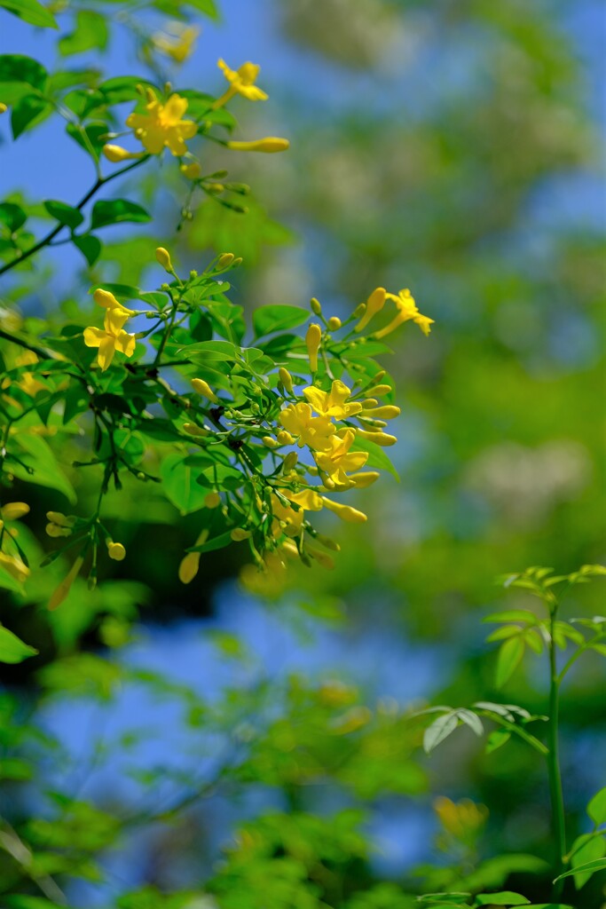 散歩の途中で。Ⅶ