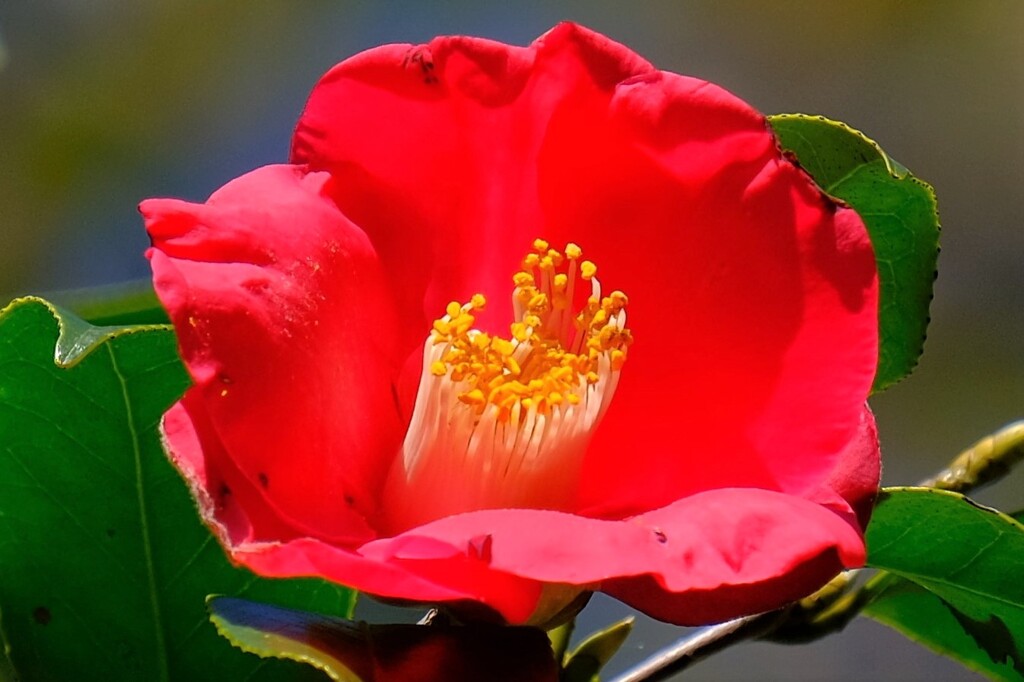 散歩の途中で、Ⅳ