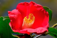 散歩の途中で、Ⅳ