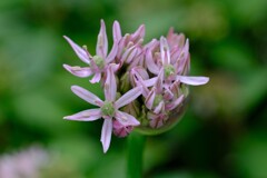 散歩の途中で。1