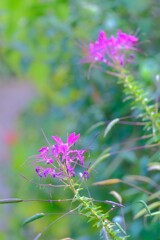 散歩の途中で。４