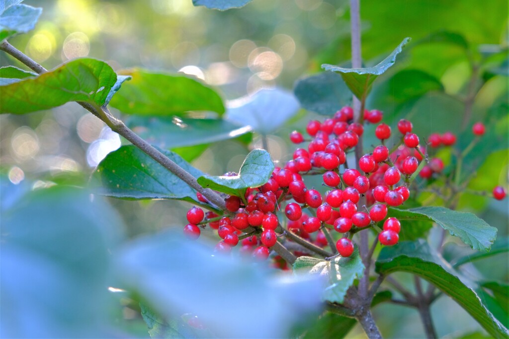 散歩の途中で。６