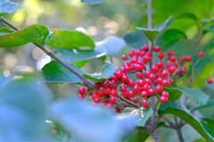 散歩の途中で。６