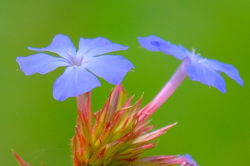 散歩の途中で。