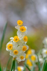 散歩の途中で。Ⅱ