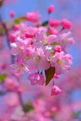 散歩の途中で。Ⅲ