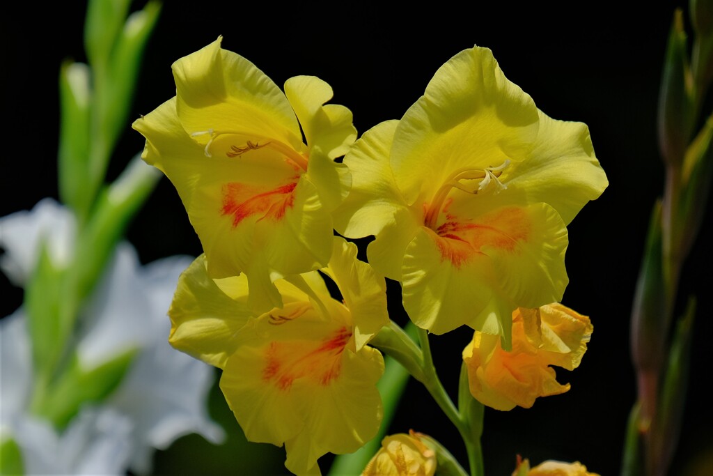 散歩の途中で。②