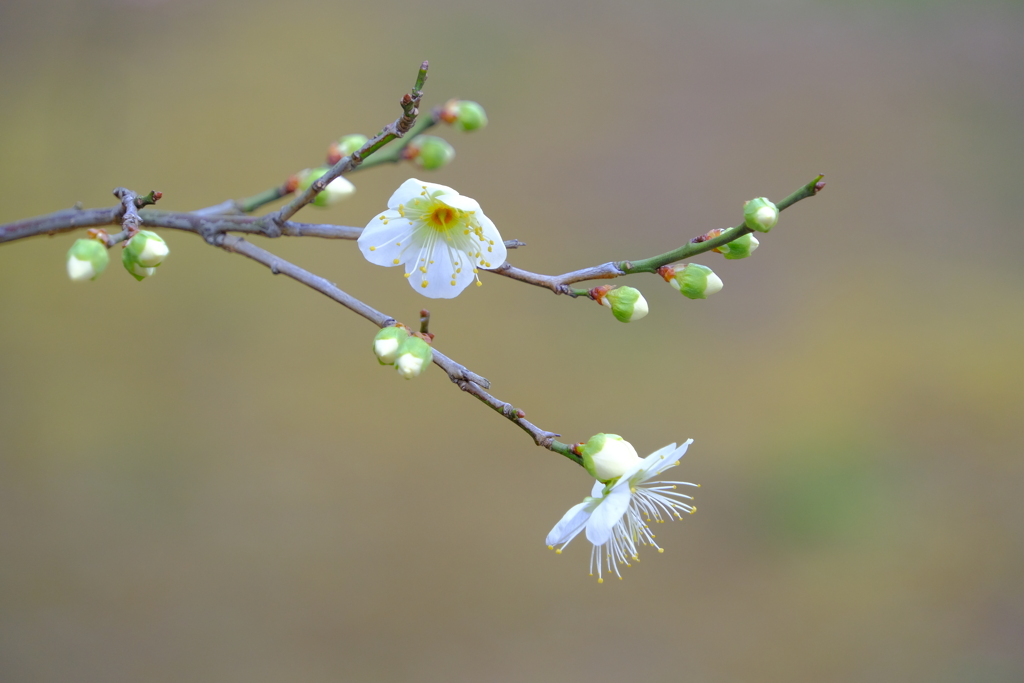 散歩の途中で。４