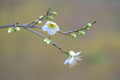 散歩の途中で。４