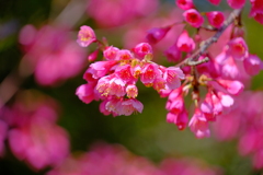 散歩の途中で。3