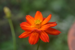 散歩の途中で。5