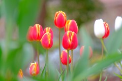 散歩の途中で。②