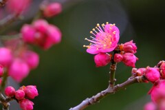 散歩の途中で。Ⅰ