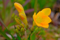 散歩の途中で。Ⅲ