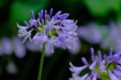 散歩の途中で。