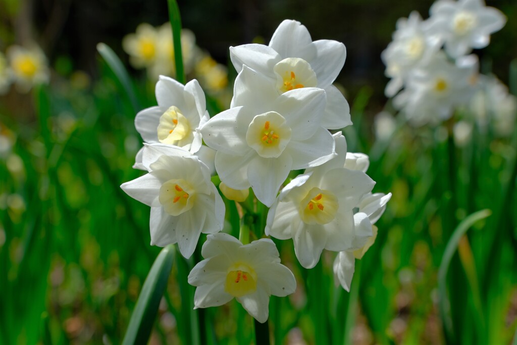 散歩の途中で。Ⅷ